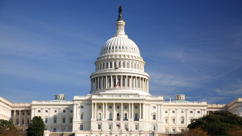 Untitled design (10)